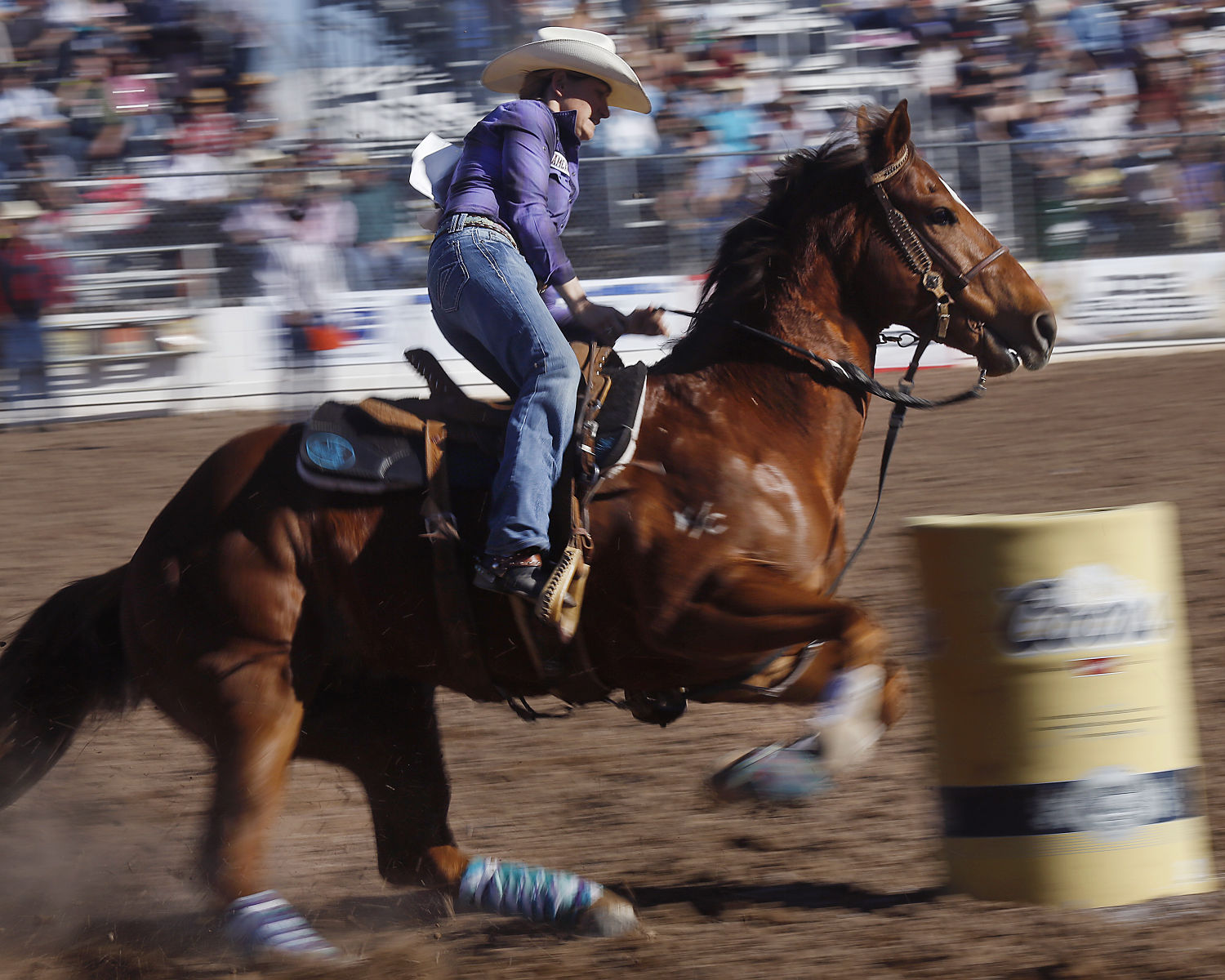La Fiesta de los Vaqueros